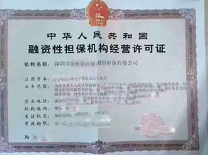 專業(yè)公司注冊代理與融資租賃、商業(yè)保理服務的核心價值